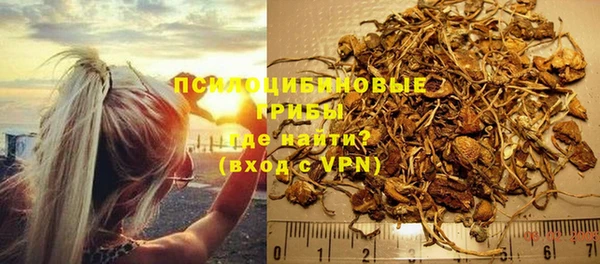 ГАЛЛЮЦИНОГЕННЫЕ ГРИБЫ Новозыбков