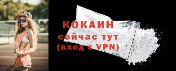 мдма Новодвинск