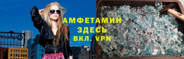 ГАЛЛЮЦИНОГЕННЫЕ ГРИБЫ Новозыбков