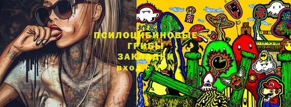 мдма Новодвинск