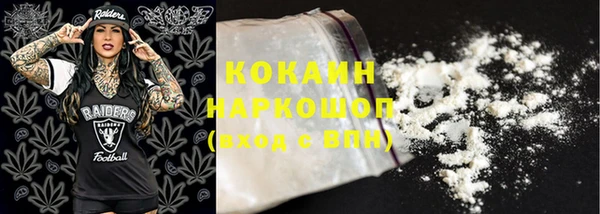 ГАЛЛЮЦИНОГЕННЫЕ ГРИБЫ Новозыбков