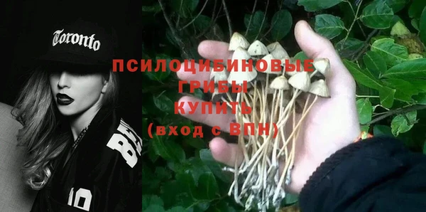 стафф Новокубанск
