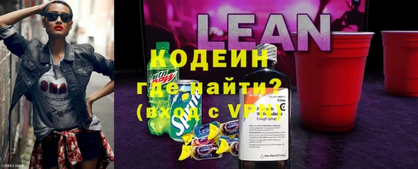 ГАЛЛЮЦИНОГЕННЫЕ ГРИБЫ Новозыбков
