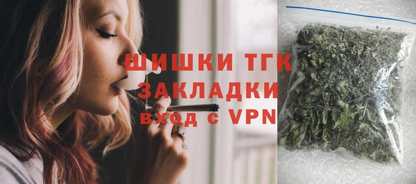ГАЛЛЮЦИНОГЕННЫЕ ГРИБЫ Новозыбков