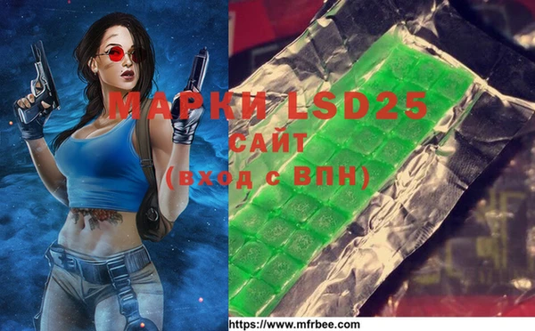 ГАЛЛЮЦИНОГЕННЫЕ ГРИБЫ Новозыбков